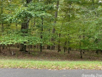 Lake Granada Lot For Sale in Hot Springs Village Arkansas