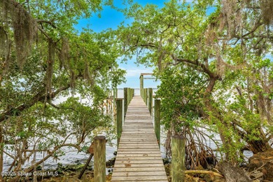 A rare River-to-River estate on nearly 6.2 acres along - photo 42
