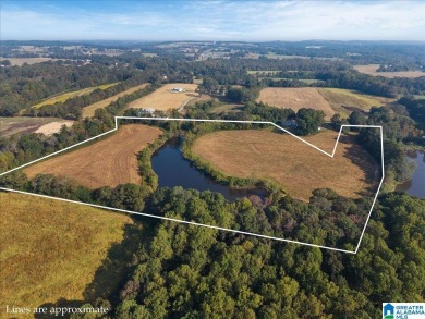 Lake Acreage For Sale in Horton, Alabama