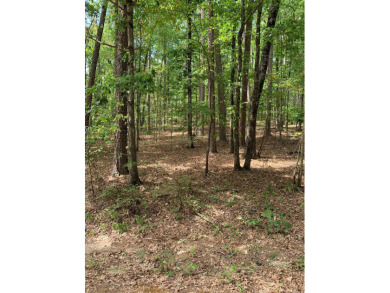 Lake Coronado Lot For Sale in Hot Springs Village Arkansas