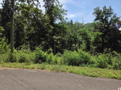 Lake Lot For Sale in Cadiz, Kentucky