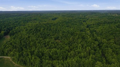 324+/- acres of recreational and hunting land located primarily - photo 11