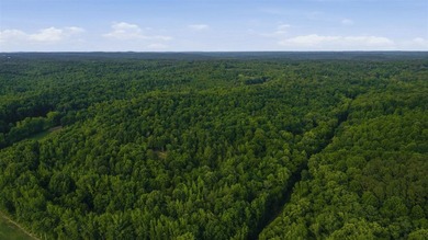 324+/- acres of recreational and hunting land located primarily - photo 12