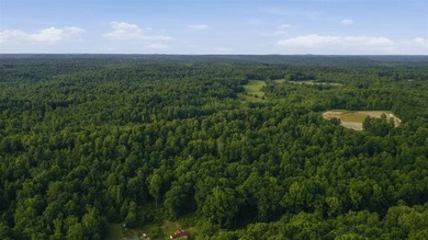 324+/- acres of recreational and hunting land located primarily - photo 13