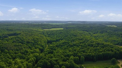 324+/- acres of recreational and hunting land located primarily - photo 14