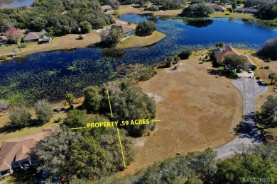 (private lake, pond, creek) Lot For Sale in Inverness Florida