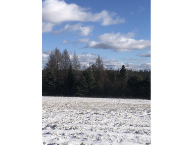 (private lake, pond, creek) Acreage For Sale in Kalkaska Michigan