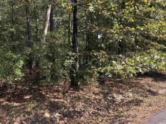 Lake Granada Lot For Sale in Hot Springs Village Arkansas
