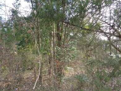 Lake Acreage For Sale in Winnsboro, Texas