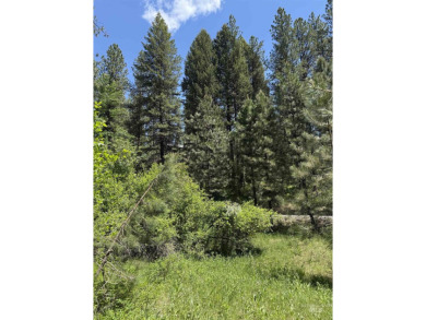 (private lake, pond, creek) Lot For Sale in New Meadows Idaho