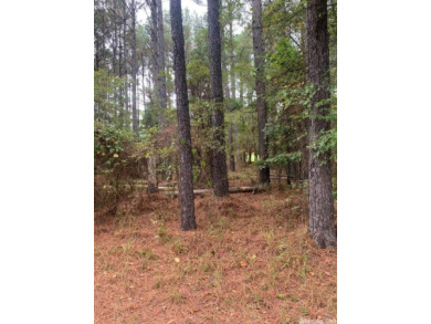 Lake Granada Lot For Sale in Hot Springs Village Arkansas