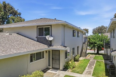 Move-in ready and completely turn-key, this beautifully - photo 29