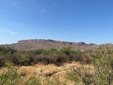 (private lake, pond, creek) Acreage For Sale in Terlingua Texas