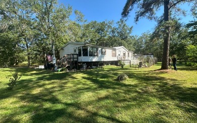 Basically BOGO! Two large manufactured homes on almost 2 acres - photo 2