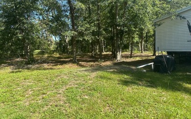 Basically BOGO! Two large manufactured homes on almost 2 acres - photo 4