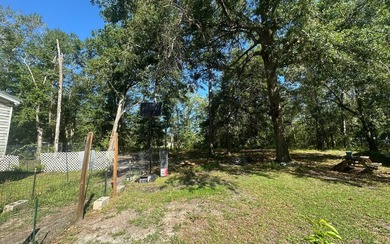 Basically BOGO! Two large manufactured homes on almost 2 acres - photo 6