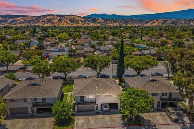 Move-in ready and completely turn-key, this beautifully - photo 43