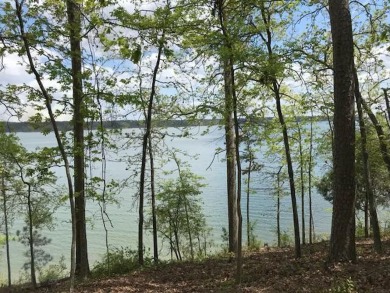 Gorgeous lake front lot on deep water in growing Providence - Lake Lot For Sale in Lincolnton, Georgia