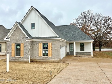 (private lake, pond, creek) Home For Sale in Southaven Mississippi