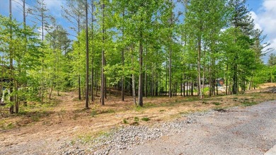 This lot has been cleaned up for your viewing and walking - photo 3