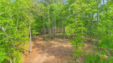 This lot has been cleaned up for your viewing and walking - photo 6