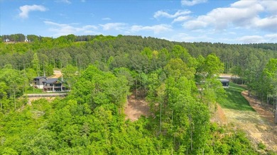 This lot has been cleaned up for your viewing and walking - photo 8