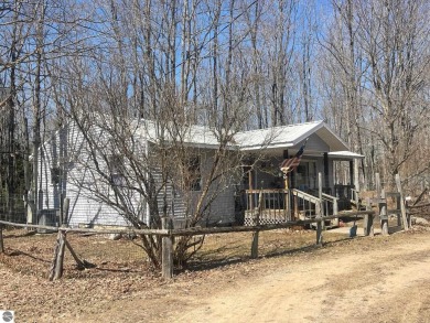 Lake Home For Sale in Central Lake, Michigan