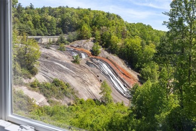 Few condos in the region offer a front-row view of a landmark - photo 43