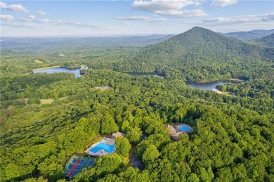The Luxe Bear Retreat in Bent Tree is where luxury mountain - photo 57
