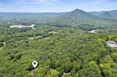 The Luxe Bear Retreat in Bent Tree is where luxury mountain - photo 58