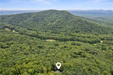 The Luxe Bear Retreat in Bent Tree is where luxury mountain - photo 59