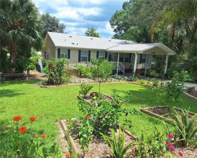 Lake Home For Sale in Ocklawaha, Florida