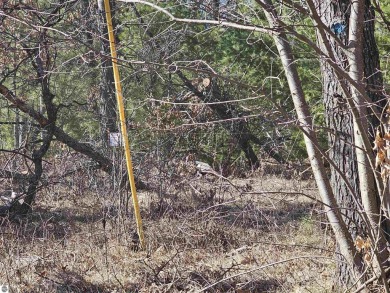 Enjoy your summers on this wooded lot with access to South Dease - photo 2