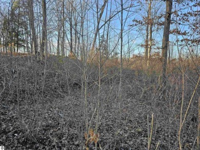 Enjoy your summers on this wooded lot with access to South Dease - photo 4
