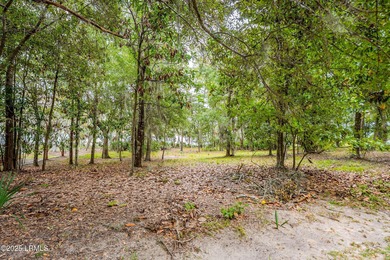 Discover an exceptional opportunity to build your Lowcountry - photo 11