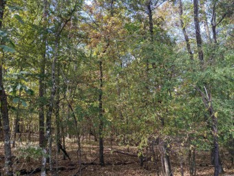 Lake Granada Lot For Sale in Hot Springs Village Arkansas