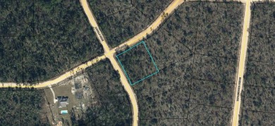 (private lake, pond, creek) Lot For Sale in Alford Florida