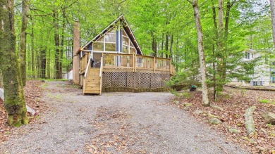 Lake Home For Sale in Pocono Lake, Pennsylvania