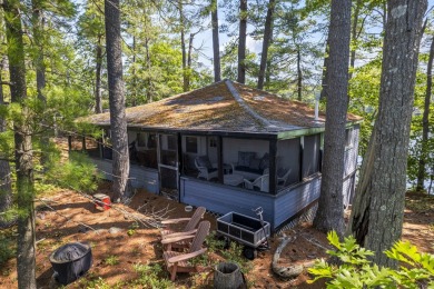 Lake Home For Sale in Shapleigh, Maine