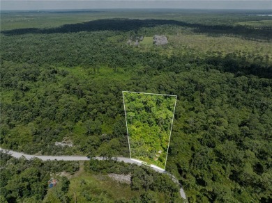 Reedy Lake Acreage For Sale in Frostproof Florida