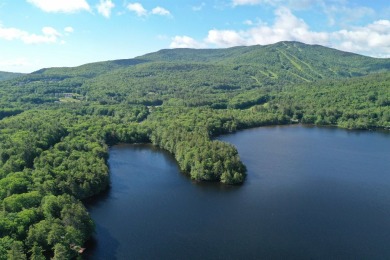 Lake Lot For Sale in Sunapee, New Hampshire