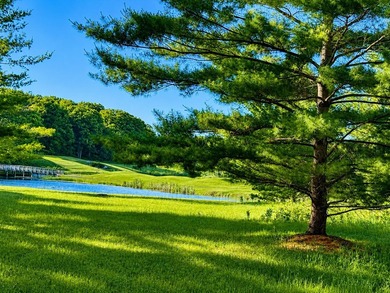 Build the home you've always imagined on this exceptional, level - photo 1