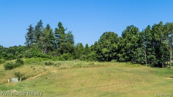Perry Lake Lot For Sale in Ortonville Michigan