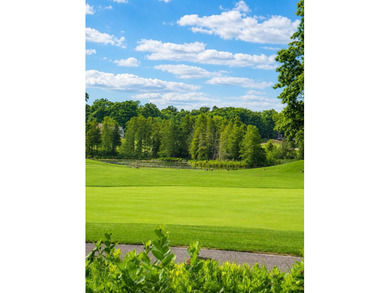 Build the home you've always imagined on this exceptional, level - photo 2