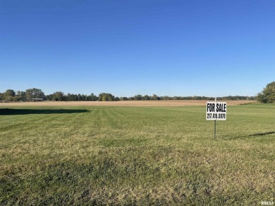 Lake Lot For Sale in Athens, Illinois