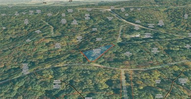 Great lake-area property located less than 5 miles from Beaver - photo 4