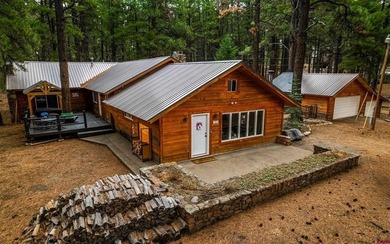 Vallecito Lake Home For Sale in Bayfield Colorado
