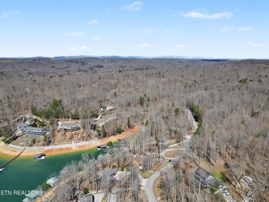 Want to be in one of the best locations on Norris Lake? Enjoy - photo 51