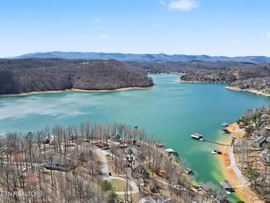 Want to be in one of the best locations on Norris Lake? Enjoy - photo 53