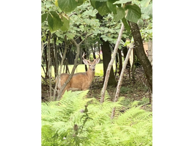 Lake Lot Sale Pending in Lake Harmony, Pennsylvania